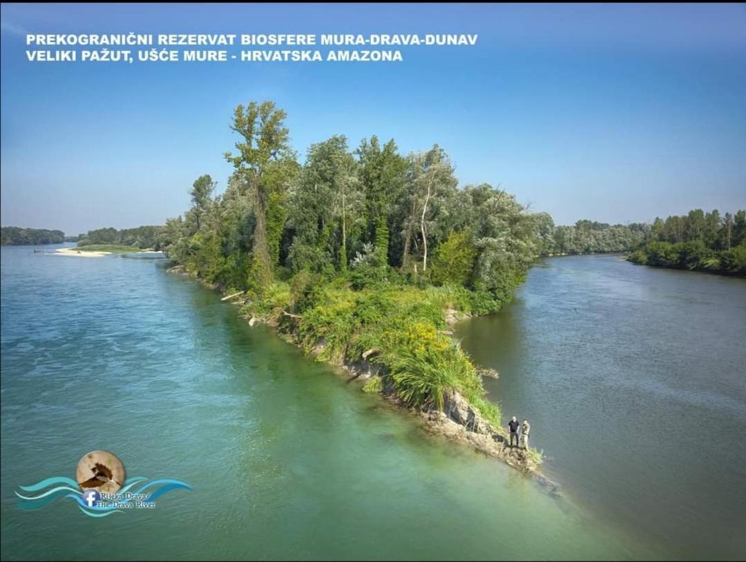 Appartement Drava 1 Donja Dubrava Esterno foto